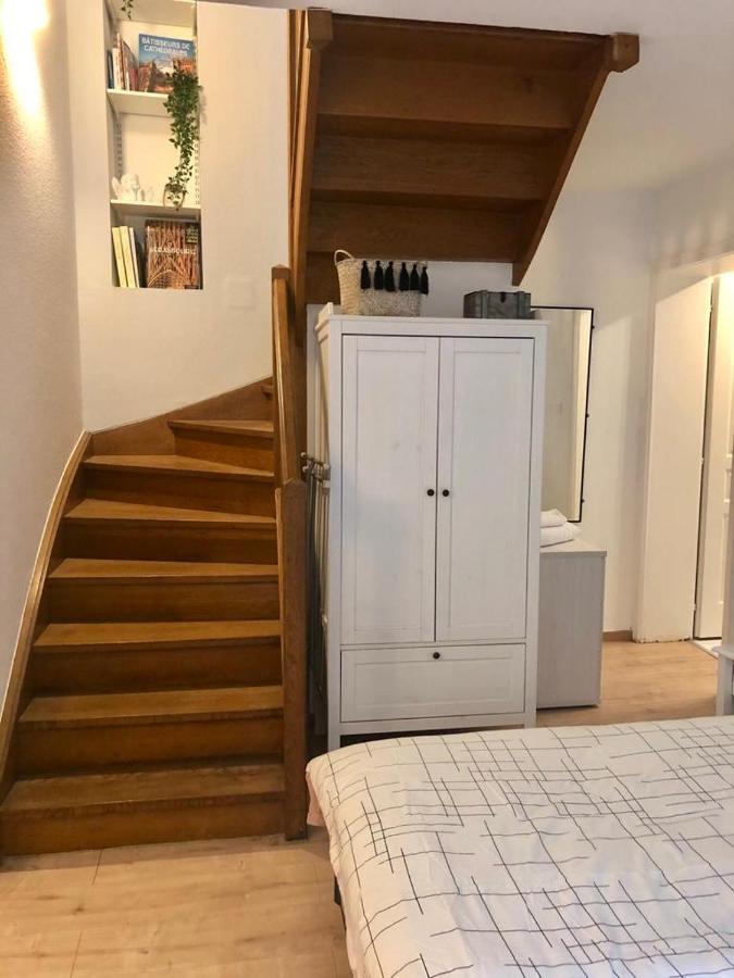 Апартаменты New Duplex De Charme Au Pied De La Cathedrale Carre D'Or Страсбург Экстерьер фото